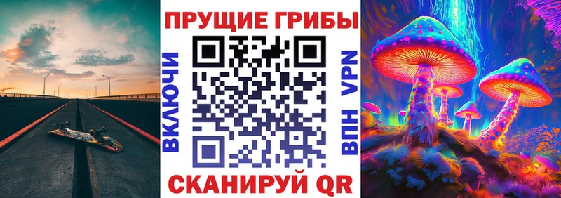 Псилоцибиновые грибы Cubensis  Удачный 